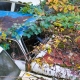 © tinmar.ch | Autofriedhof Kaufdorf | A404_SzM_20081005_0003_v1