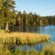 © tinmar.ch | Etang de la Gruère | L101_SzM_20140923_0086_v1