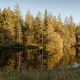 © tinmar.ch | Etang de la Gruère | L101_SzM_20140923_0125_v1