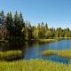 © tinmar.ch | Jura: Etang de la Gruère | L111_SzM_20090613_0018_v1