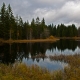 © tinmar.ch | Jura: Etang de la Gruère | L111_SzM_20101105_0025_v2