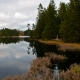 © tinmar.ch | Jura: Etang de la Gruère | L111_SzM_20101105_0029_v2