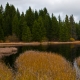 © tinmar.ch | Jura: Etang de la Gruère | L111_SzM_20101105_0049_v2