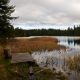 © tinmar.ch | Jura: Etang de la Gruère | L111_SzM_20101105_0067_v2