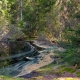 © tinmar.ch | Jura: Etang de la Gruère | L111_SzM_20110422_0008_v1