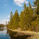 © tinmar.ch | Jura: Etang de la Gruère | L111_SzM_20110422_0032_v1