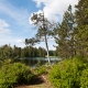 © tinmar.ch | Jura: Etang de la Gruère | L111_SzM_20110528_0094_v1