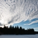 © tinmar.ch | Jura: Etang de la Gruère | L111_SzM_20120224_0089_v1