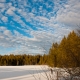 © tinmar.ch | Jura: Etang de la Gruère | L111_SzM_20120224_0148_v1