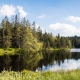 © tinmar.ch | Jura: Etang de la Gruère | L111_SzM_20130607_0043_v1