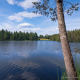 © tinmar.ch | Jura: Etang de la Gruère | L111_SzM_20190720_0017_v1