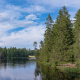 © tinmar.ch | Jura: Etang de la Gruère | L111_SzM_20190720_0043_v1