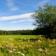 © tinmar.ch | Jura: Etang de la Gruère | L111__SZM1344_bearbeitet_v2