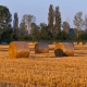 © tinmar.ch | Strohballen in der La Sauge | L114_SzM_20100821_0069_v1