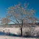 © tinmar.ch | Jura: Lac de Joux | L115_SzM_20090111_0003_v1