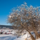 © tinmar.ch | Jura: Lac de Joux | L115_SzM_20090111_0033_v1