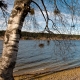 © tinmar.ch | Jura: Lac de Joux | L115_SzM_20101113_0029_v1