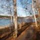 © tinmar.ch | Jura: Lac de Joux | L115_SzM_20101113_0037_v1