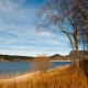 © tinmar.ch | Jura: Lac de Joux | L115_SzM_20101113_0041_v1