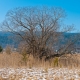 © tinmar.ch | Jura: Vallée de Joux | L115_SzM_20110305_0009_v1