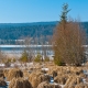 © tinmar.ch | Jura: Lac de Joux | L115_SzM_20110305_0010_v1