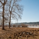 © tinmar.ch | Jura: Lac de Joux | L115_SzM_20120302_0005_v1