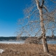 © tinmar.ch | Jura: Lac de Joux | L115_SzM_20120302_0014_v1