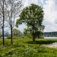 © tinmar.ch | Jura: Lac de Joux | L115_SzM_20120526_0015_v1