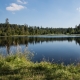 © tinmar.ch | Jura: Etang des Royes | L121_SzM_20120811_0067_v1