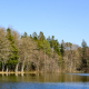 © tinmar.ch | Jura: Etang de Vendlincourt | L121_SzM_20190330_0005_v1