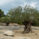 © tinmar.ch | Südfrankreich: Beim Pont-du-Gard | L130_SzM_20120824_0116_v1